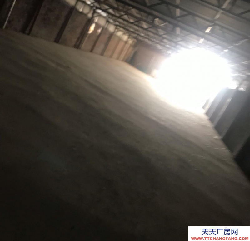 滄州 鹽山(出租) 適合倉庫、電商,二手車等多種用途