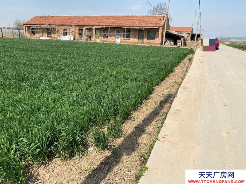 滄州 青縣(出租) 倉庫出租 交通便利 水電齊全 批發市場附近 帶院