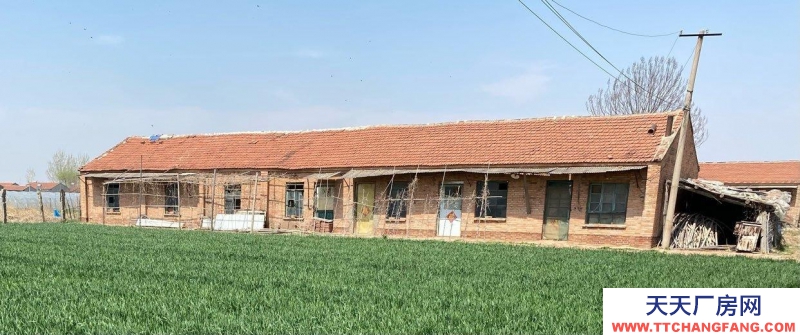 滄州 青縣(出租) 倉庫出租 交通便利 水電齊全 批發市場附近 帶院