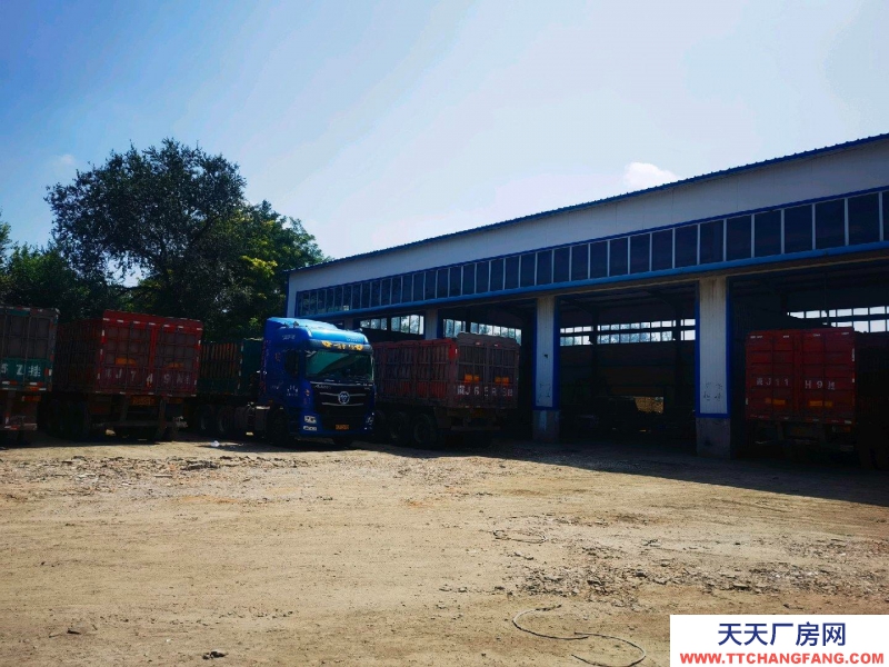 滄州 河間(出租) 大場(chǎng)地，出入方便，帶辦公室和基礎(chǔ)生活設(shè)施