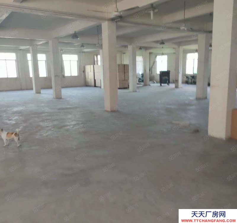 (出租) 潮州潮安彩塘金一村獨院一樓廠房900平方米可做生產經營