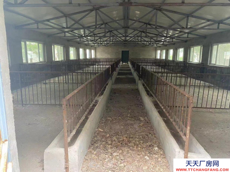 (出售) 松山區安慶鎮有一養殖場出售