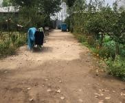 (出租) 駐馬店上蔡交通便利,環(huán)境優(yōu)美,可做廠房,倉庫,農(nóng)家樂