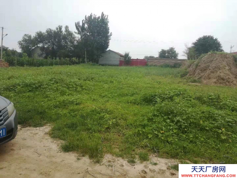 滄州 滄縣(出售) 滄州東高速口一公里，建設用地3000平米，有正規手續。