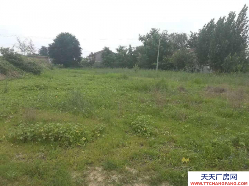 滄州 滄縣(出售) 滄州東高速口一公里，建設用地3000平米，有正規手續。