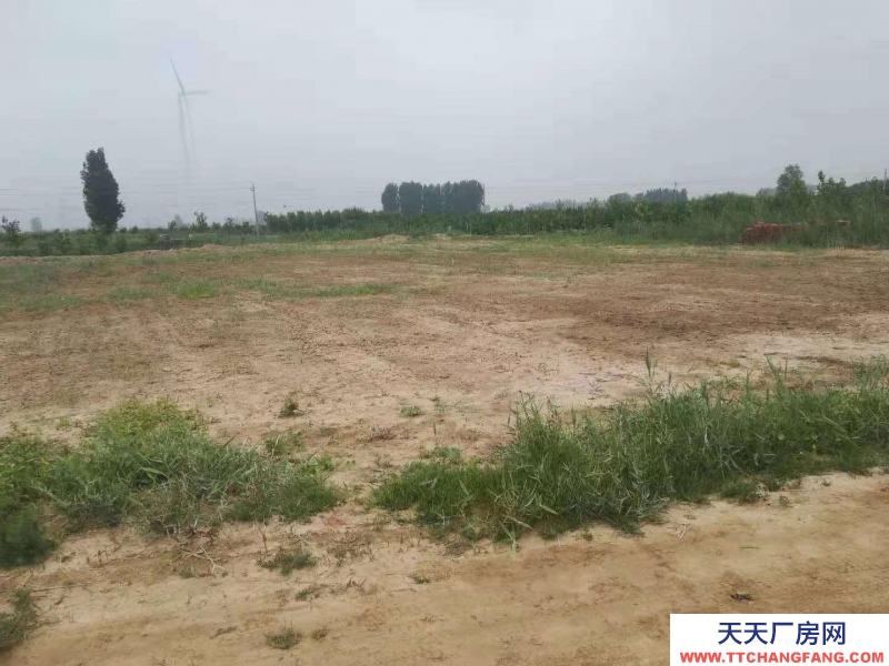 滄州 滄縣(出售) 滄州東高速口一公里，建設用地3000平米，有正規(guī)手續(xù)。