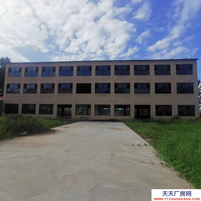 滄州 滄縣(出售) 出售滄縣2500平水產(chǎn)制品廠房6畝地