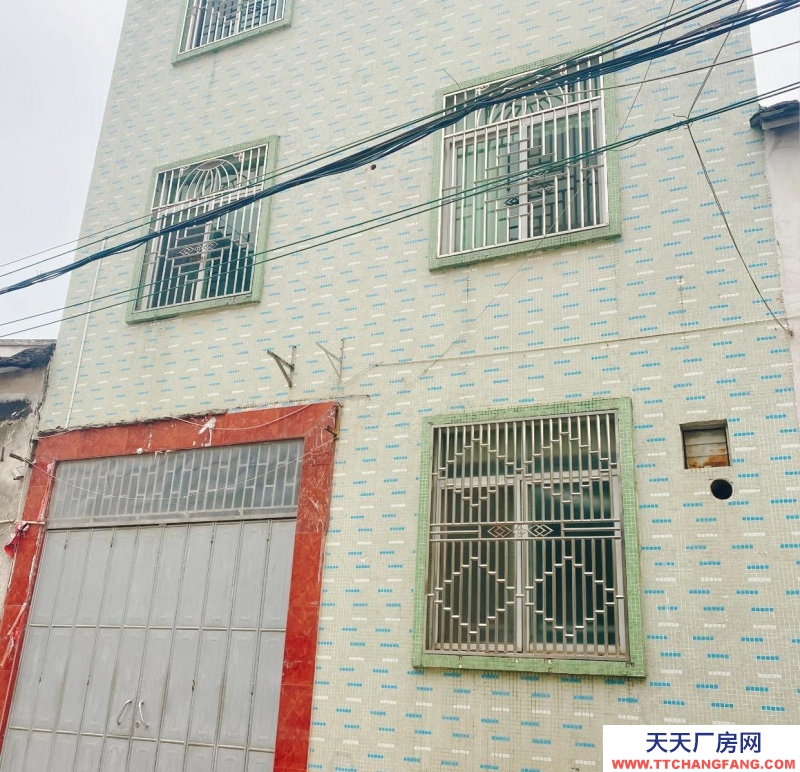 (出租) 潮州湘橋區配套齊全，住家辦公，5個房間適合電商直播