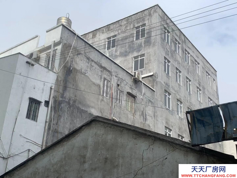 (出租) 潮州湘橋區(qū)出租湘橋區(qū)塔腳路廠房可做汽修廠倉庫