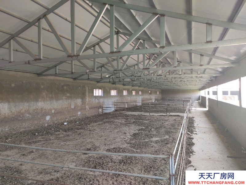 (出售) 赤峰翁牛特旗撿漏!超低價急售,劃撥,方正豪華,配套齊全,應有盡有。