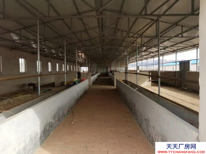 (出租) 赤峰條件好，交通便利。適合養牛，羊等。價格可以面議