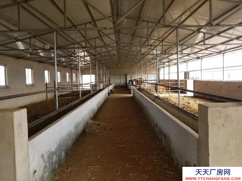 (出租) 赤峰條件好，交通便利。適合養牛，羊等。價格可以面議