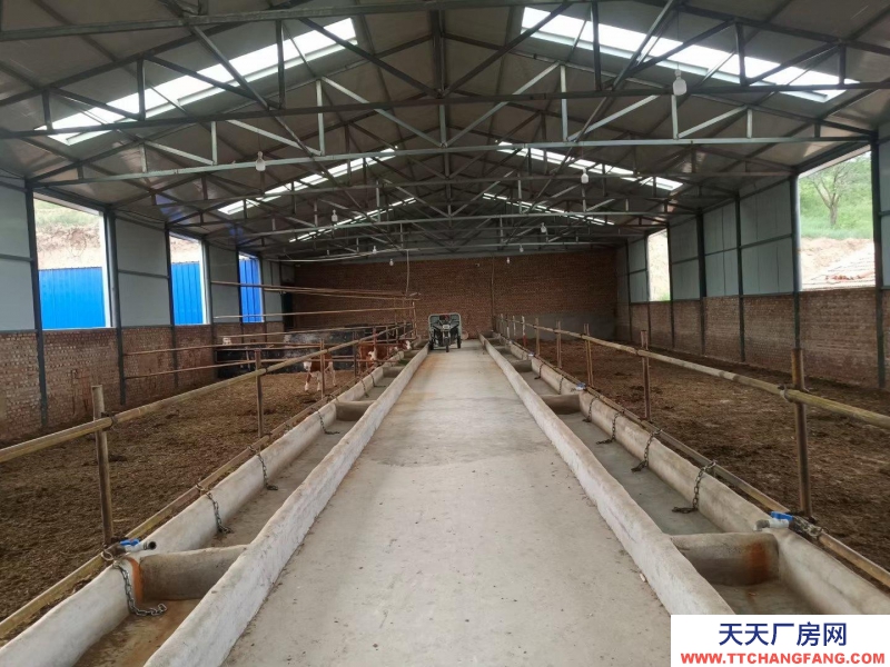 (出租) 赤峰出租出售養殖場地，宿，水電網齊全