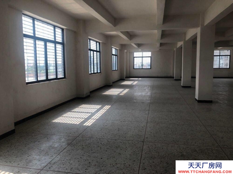 (出租)潮州潮安鸛一潮汕公路旁 倉庫出租 電商倉庫