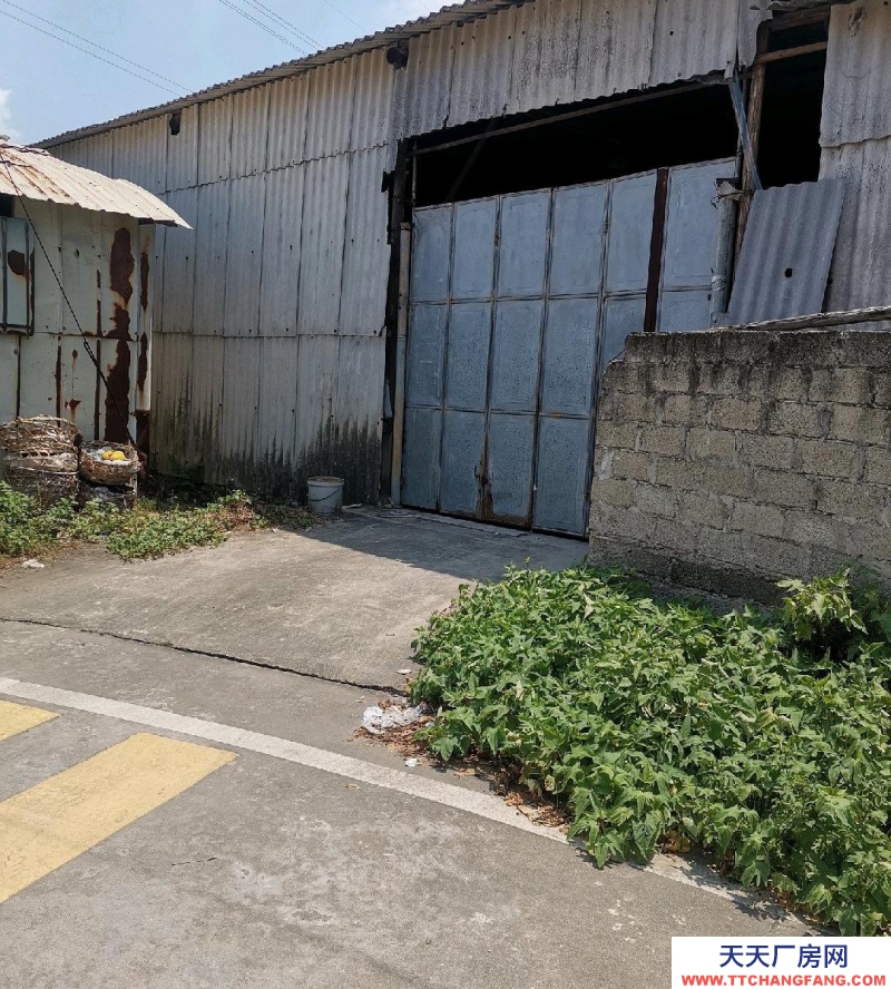 (出租)潮州潮安 地勢高，出貨方便，有3相電，帶辦公建材倉庫