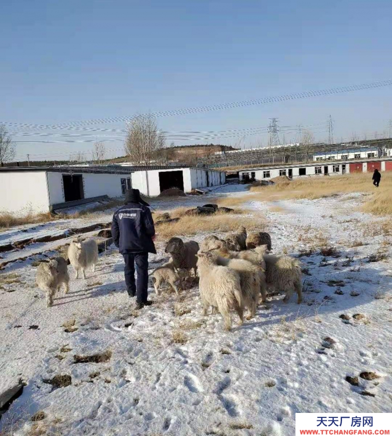 (出售) 鄂爾多斯占地14畝，建筑面積1500平米