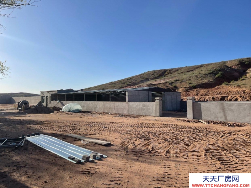 (出售) 鄂爾多斯溫室大棚660平米，牛棚200平米，住房70平米，獨戶獨院，