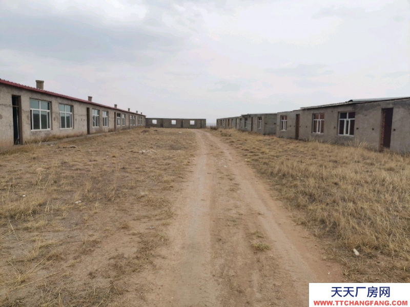 (出售) 鄂爾多斯500畝土地，6千平房，倉庫，棚圈，
