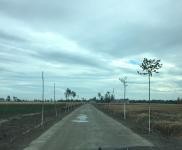 (出租) 駐馬店泌陽(yáng)縣泰山三官?gòu)R 養(yǎng)家禽場(chǎng)地