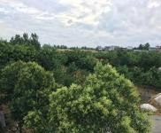 (出租) 駐馬店泌陽縣泰山三官廟 養家禽場地