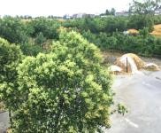 (出租) 駐馬店泌陽縣泰山三官廟 養家禽場地