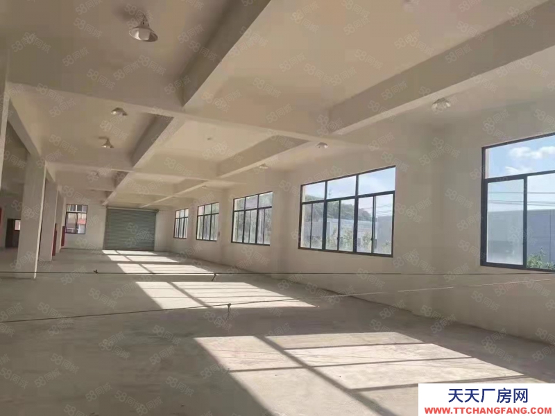 衢州市龍游(出租) 標準廠房火熱招商，汽車電梯上樓，層層都是一樓。調味品   肉制品