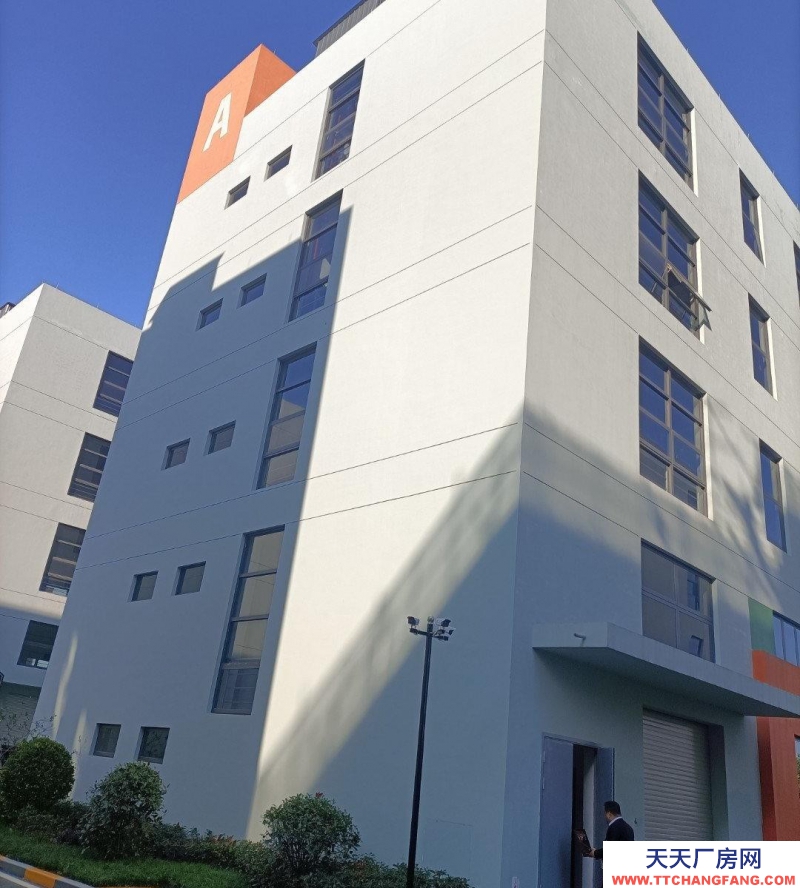 衢州市龍游(出租) 沙田大道新廠房整體出租 冷凍飲品 速凍食品