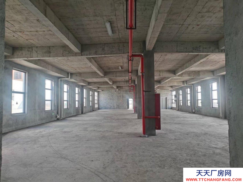 衢州市龍游(出租) 全新廠房，自帶天然氣，蒸汽，污水處理，雙電梯 機械制造 重工業