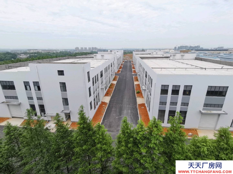 衢州市龍游(出租) 現房廠房出租 單一層 2000平左右 特殊膳食食品