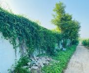 (出租)駐馬店遂平 環(huán)境優(yōu)美，地理位置優(yōu)越