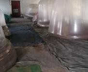 (出租)駐馬店遂平 位于西劉莊居委會南劉莊南地