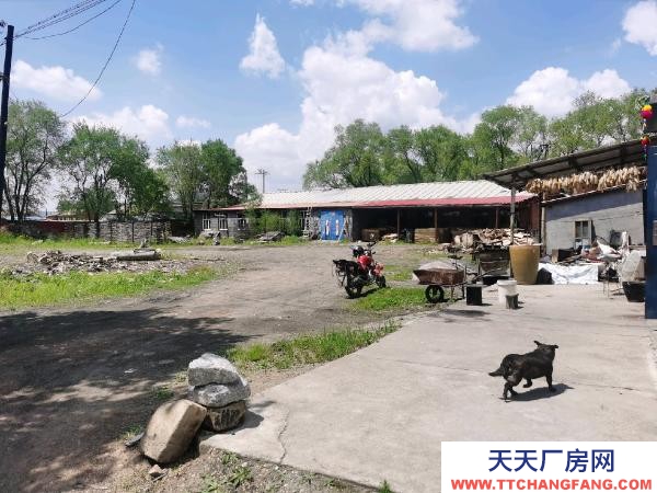 梨樹區內交通方便，場地大，可用作木材加工，也可用于存放貨物。