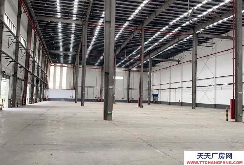 衢州市龍游(出租) 金華金義物流集散地，周報菜鳥，圓通申通集聚。