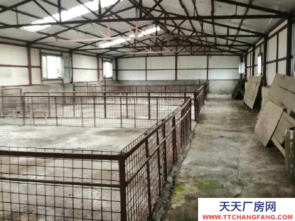 興安可以當養殖基地用，水電都有