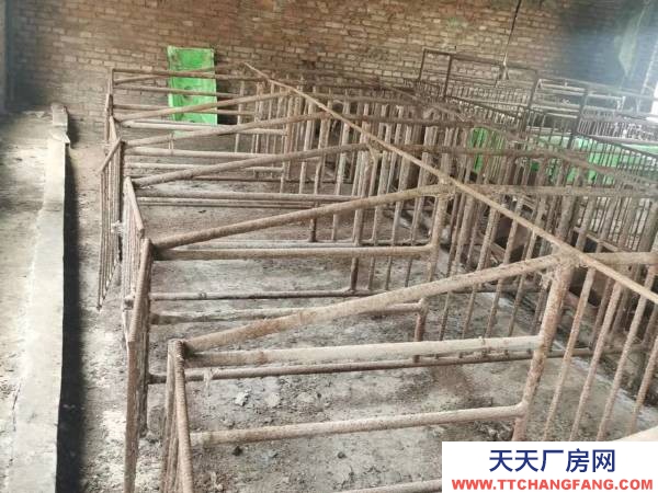 興安260平養豬場接手就能用，帶100平平房
