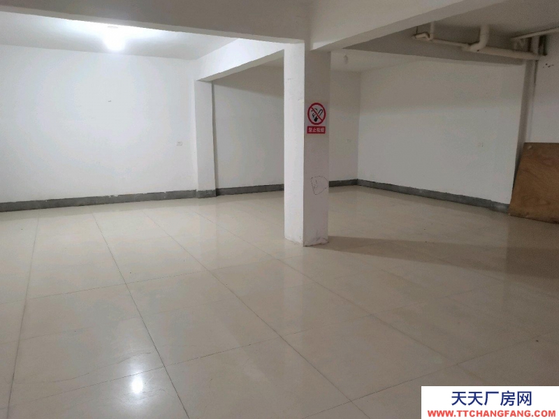 衢州市龍游(出租) 自建民房，地下坡道倉庫。