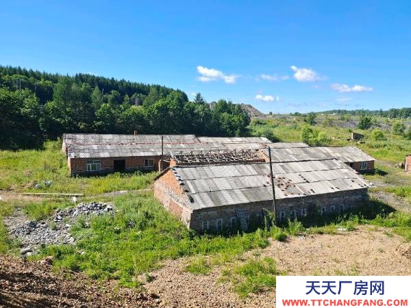 東山有水有電，適合搞養殖