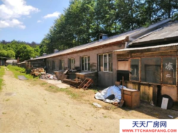 東山養殖場，有耕地4畝，有深水井，動力電，各種養殖機械