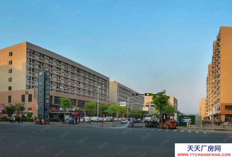 衢州市龍游(出售) 獨棟廠房出售，大小面積都有，帶獨立產權，花園式廠房