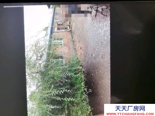 東山適合倉庫，廠房，養殖