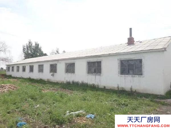 蘿北梧桐河養殖廠 豬舍 急租急售