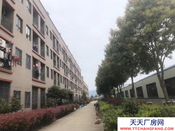 福州市福清調(diào)味料廠房 出租福清陽下洪寬工業(yè)村自有標準廠房 房東直租 租金面議