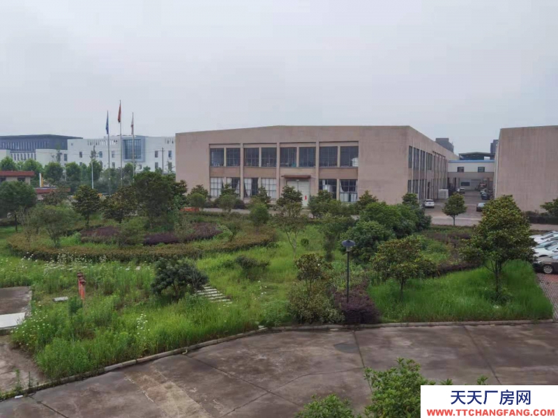 衢州市江山(出租) 出租山海協作廠房江山市區和峽口桐村 印花類、鍍金類