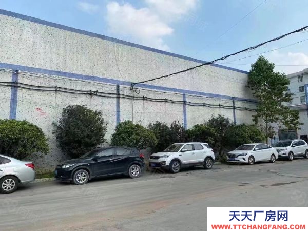 福州市福清包裝飲用水廠房  全新12米高一樓廠房4500至11000證件齊全大變壓器