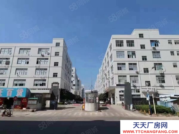 福州市福清餅干廠房  福清漁溪多棟多層廠房50000可分割出租需要福清各種廠房聯系