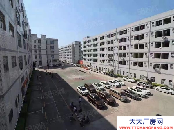 福州市福清餅干廠房  福清漁溪多棟多層廠房50000可分割出租需要福清各種廠房聯系