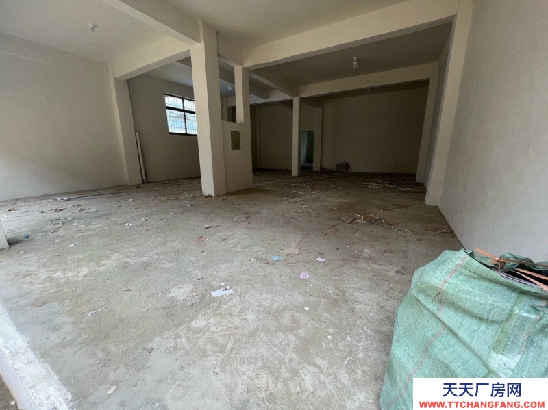 (出租) 拉薩城關310平米、可辦公可做門面鋪面可做物流