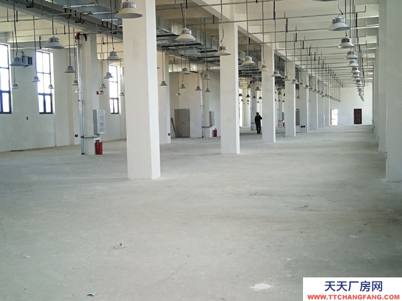 (出租) 拉薩堆龍德慶經開區B區廠房整租,分租可做糧油食品