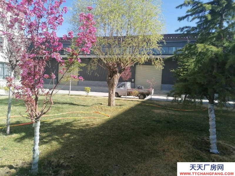 (出租) 拉薩堆龍德慶在大馬路邊，交通方便，廠房是鋼架結構高八米可做其他乳制品類