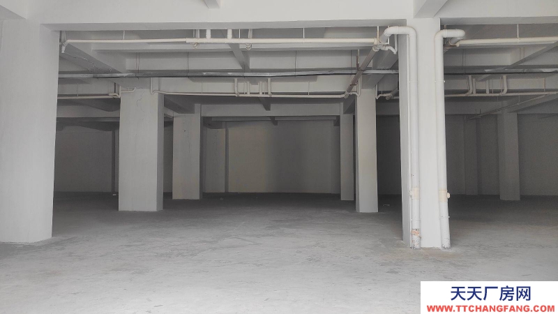 (出租) 拉薩堆龍德慶區(qū)乃瓊鎮(zhèn)乃瓊村2組倉(cāng)庫(kù)成品倉(cāng)庫(kù)